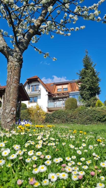 Zahrada ubytování Pension Höchemer