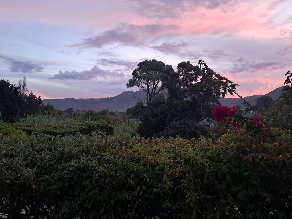 Naturlandskabet i nærheden af lejligheden