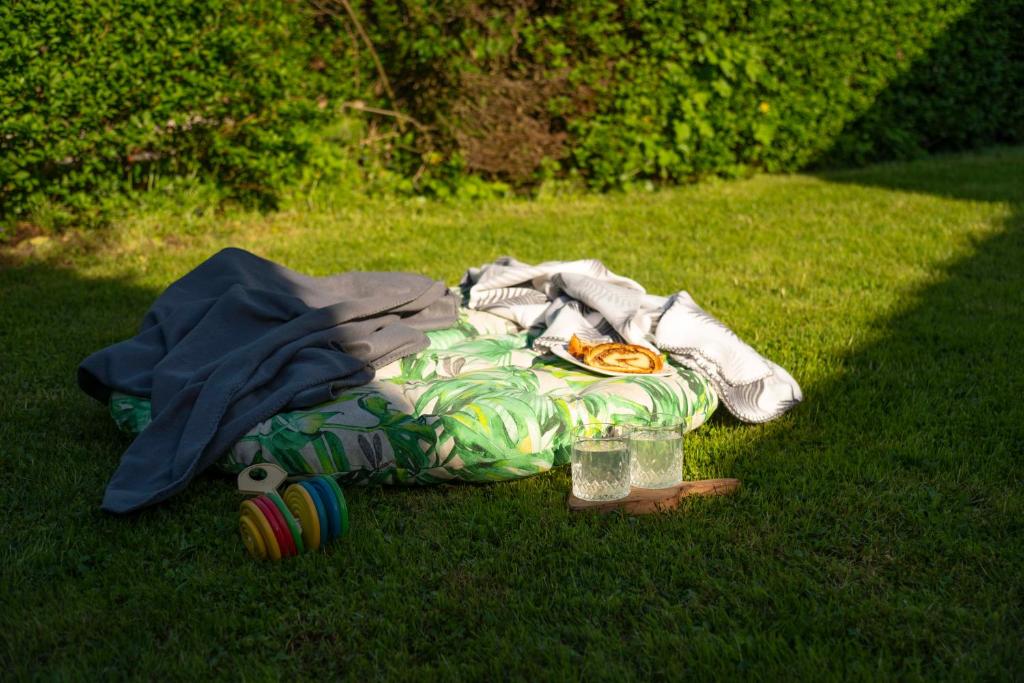 Zahrada ubytování Apartma ''Pri Movernu''