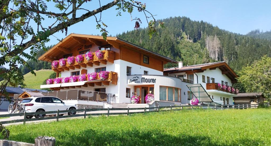 Příroda nedaleko apartmánu