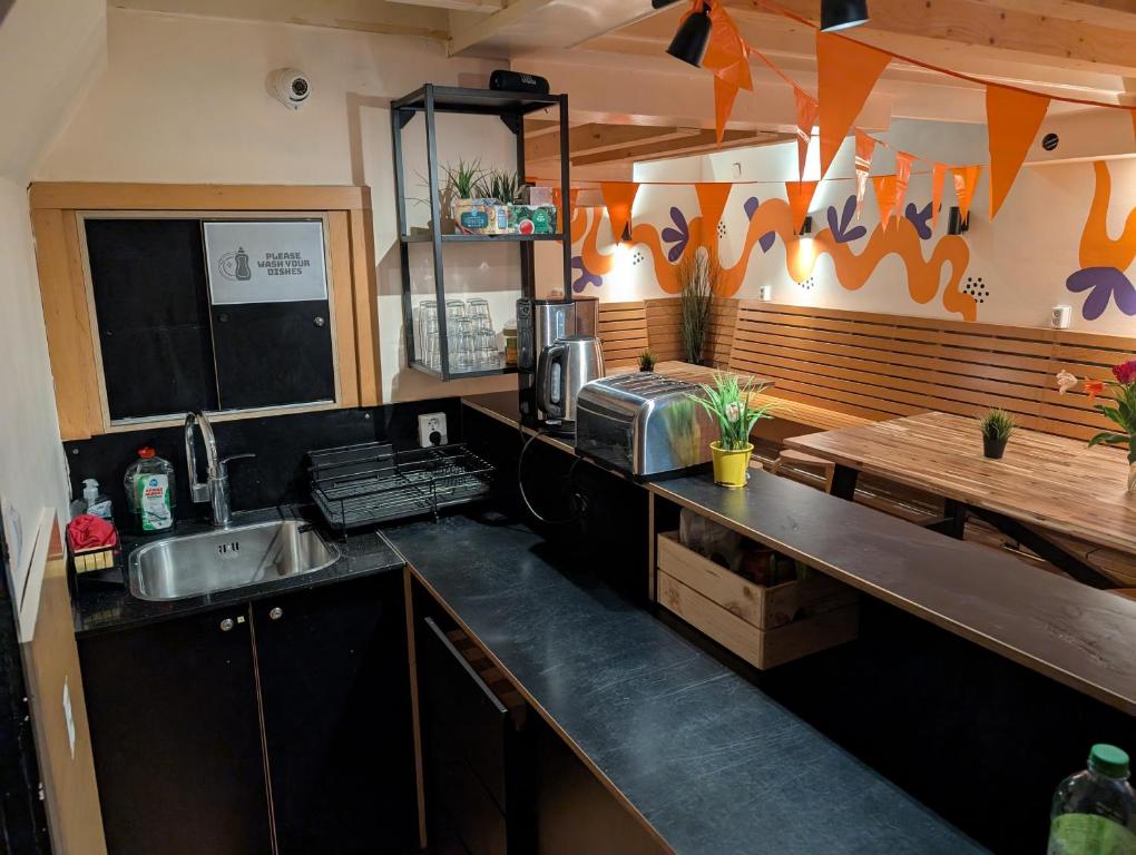 eine Küche mit einer Arbeitsplatte mit Spüle und Arbeitsplatte in der Unterkunft Onefam Amstel in Amsterdam