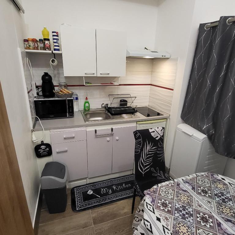 Kuchyň nebo kuchyňský kout v ubytování Studio centre ville