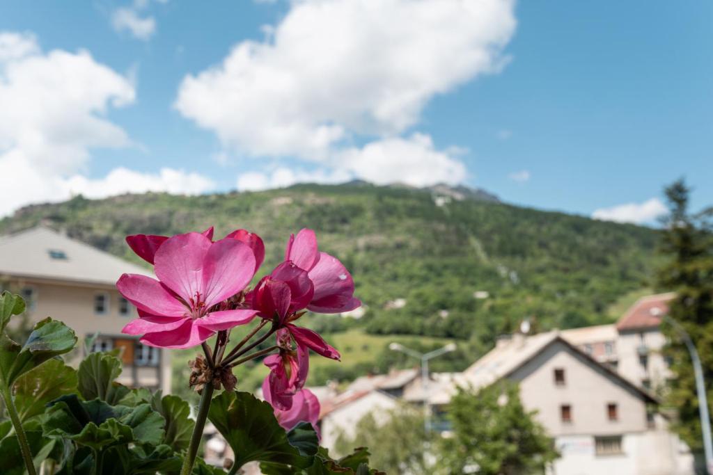 a pink flower with a mountain in the background at Hôtel Vauban Briançon Serre Chevalier in Briançon