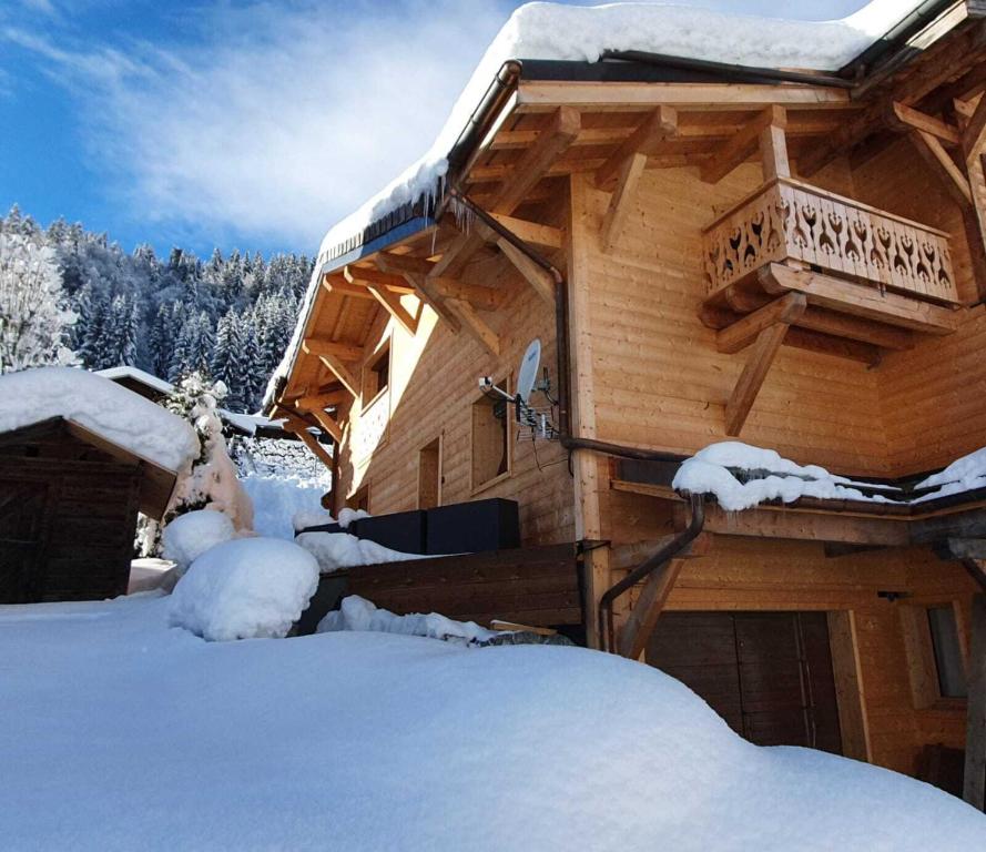 Chalet Delphinette - Spa privatif v zimě