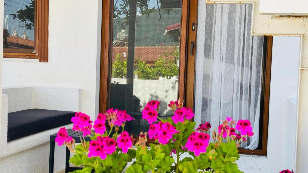 A garden outside Tomsan Suites & Villas Akyaka