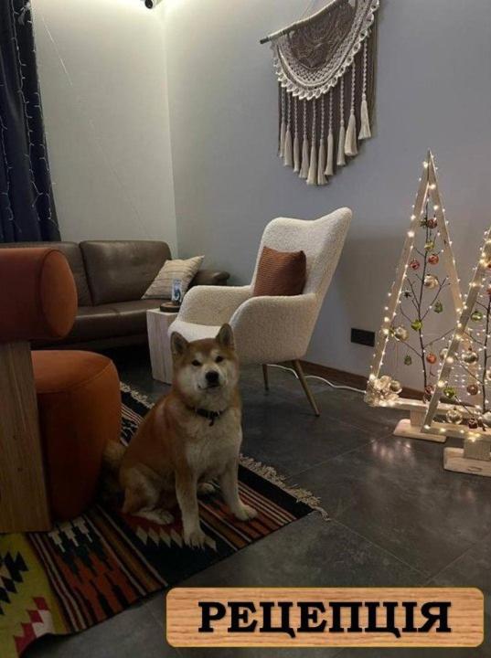 Domácí mazlíčci ubytovaní s hosty v ubytování AINO Hotel