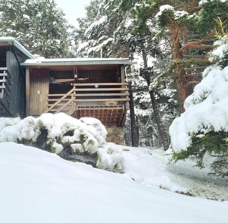 a cabin in the snow with snow covered bushes at Chalet Des Oursons, Capcir Pyrénées Catalanes in Puyvalador