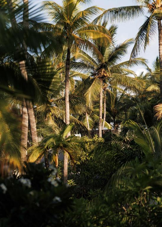 Zahrada ubytování One&Only Le Saint Géran, Mauritius