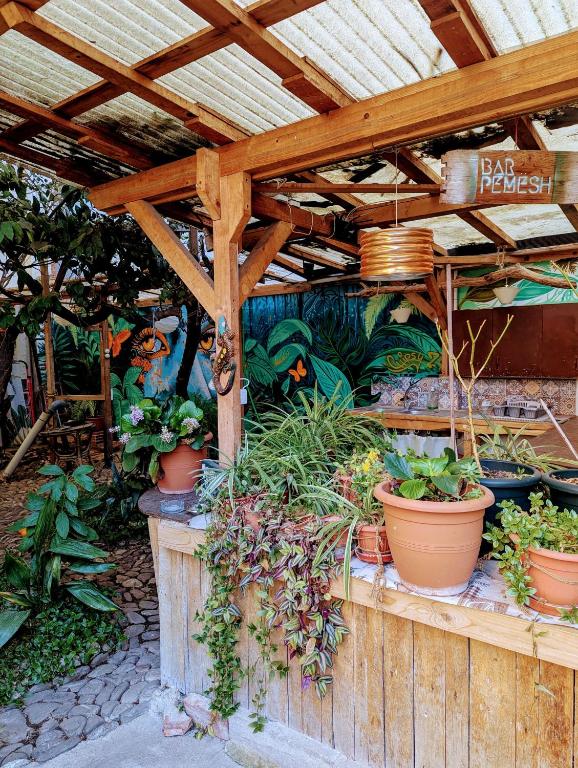 Zahrada ubytování Tirana Backpacker Hostel