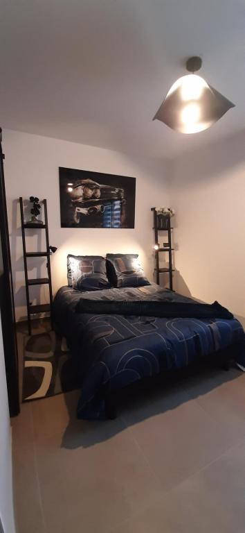 a bedroom with a large bed with a light on it at Chez bigoudy in Penta-di-Casinca