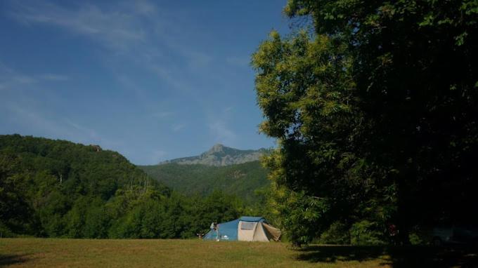 une tente dans un champ à côté d'un arbre dans l'établissement Camping Les Prairies, à Scata