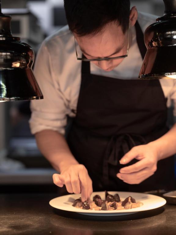 Niepce Paris, Curio Collection By Hilton - Resim 20