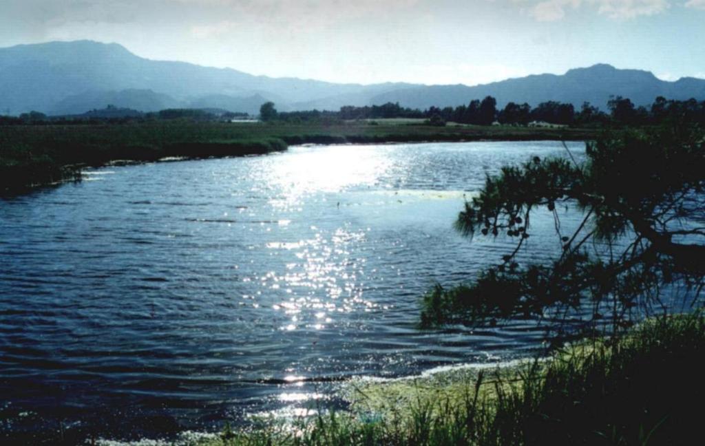 Príroda v okolí farmy