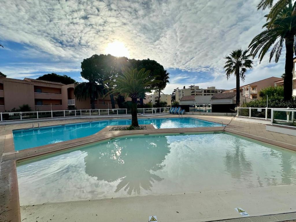 une grande piscine avec un palmier au milieu dans l'établissement Appartement cosy avec terrasse, à Vallauris