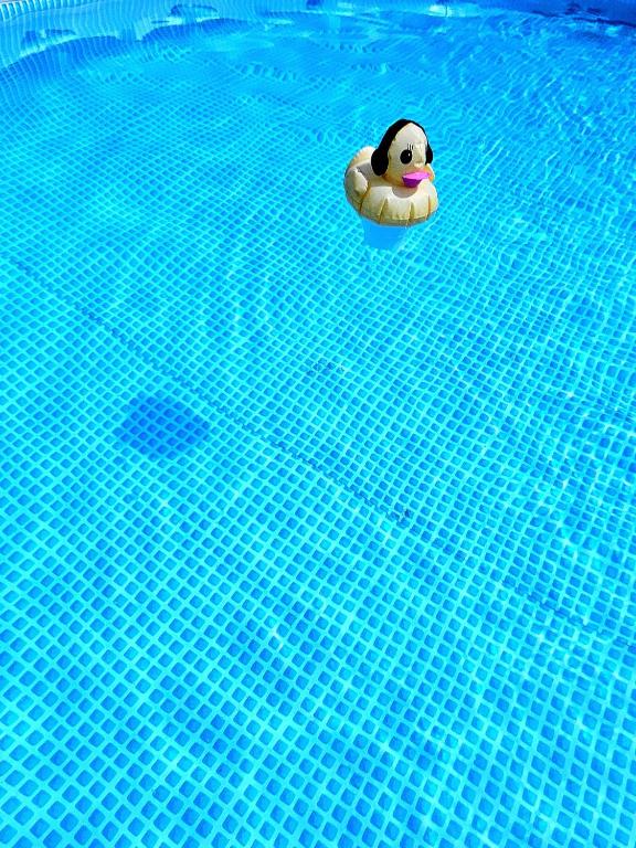 Piscina di Chalet Collalto con Piscina o nelle vicinanze