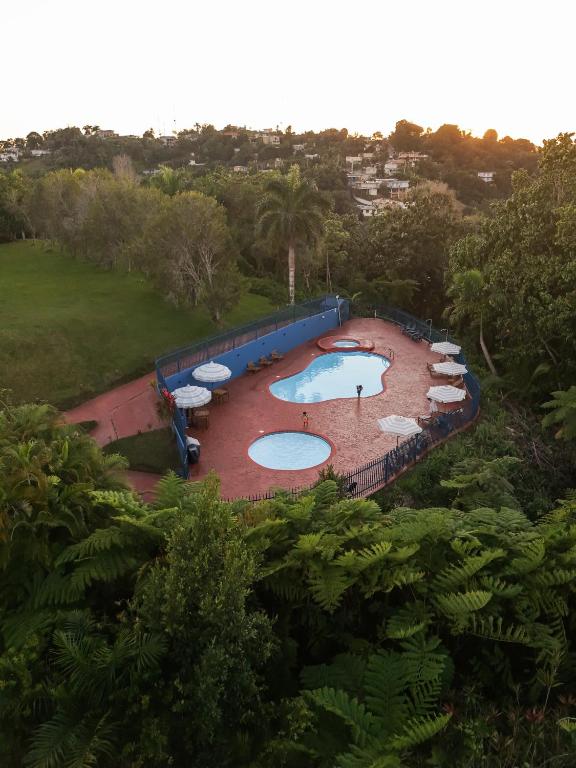Bazén v ubytování El Oasis Hotel nebo v jeho okolí