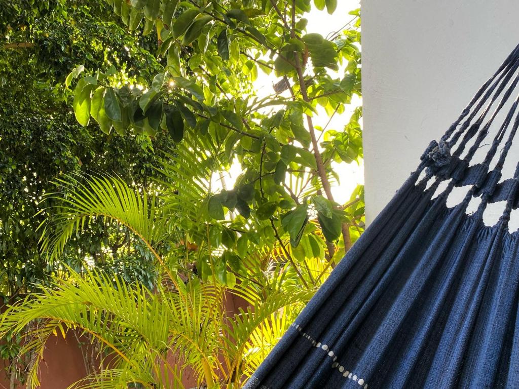 ラウロ・ジ・フレイタスにあるCharmoso Village Praianoの青いハンモック