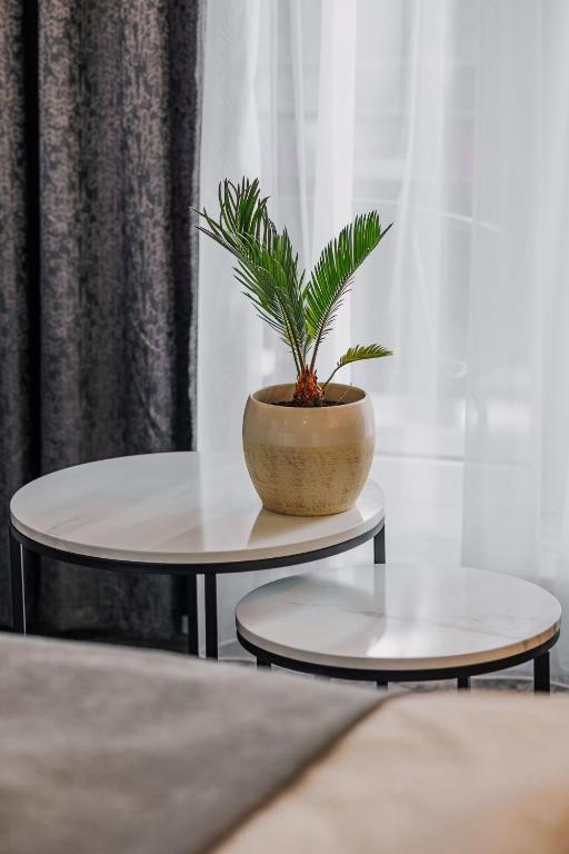 Hotel Soimul - Resim 3