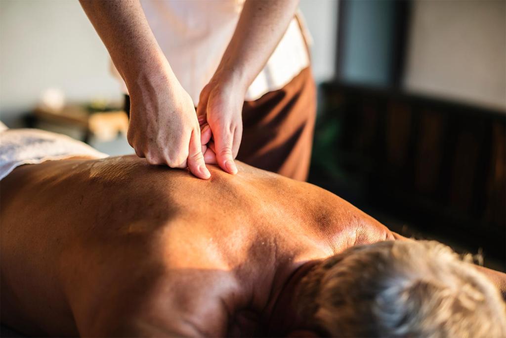 Lázně a/nebo wellness v ubytování AlpiZen centre de Ressourcement