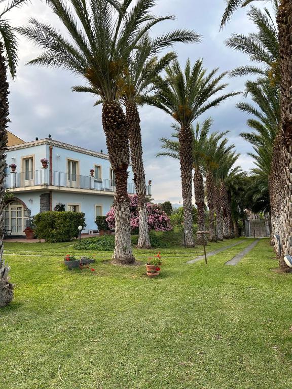 rząd palm przed domem w obiekcie Torre Archirafi Resort w mieście Riposto