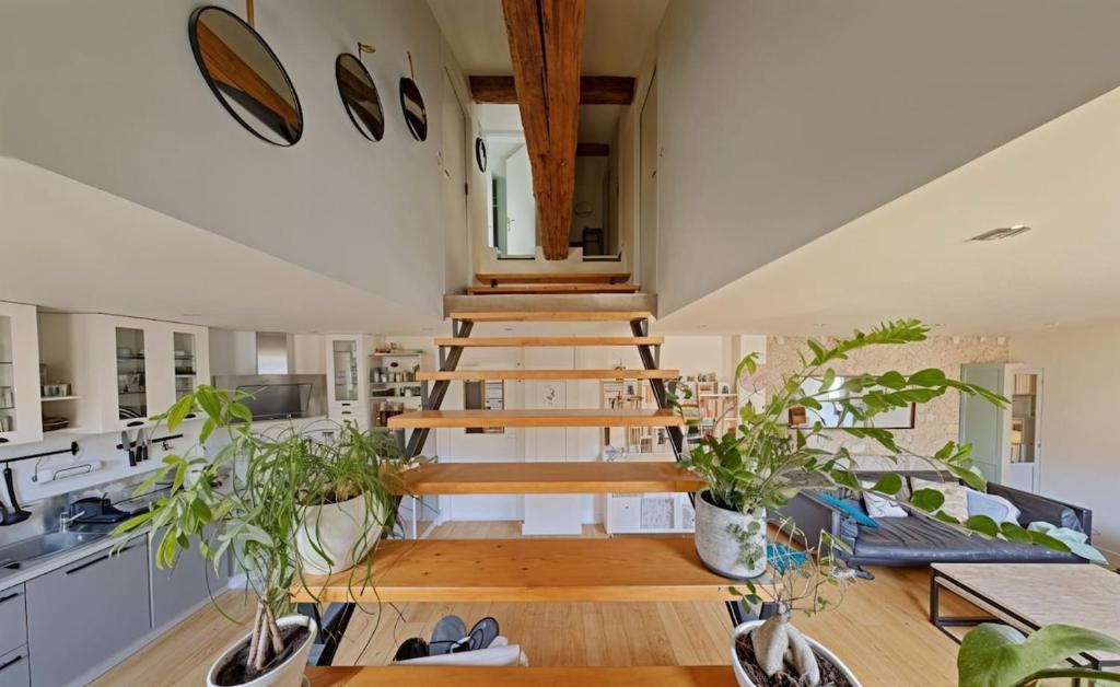 un escalier dans une cuisine avec des plantes en pot dans l'établissement Duplex atypique en centre-ville, à Montpellier