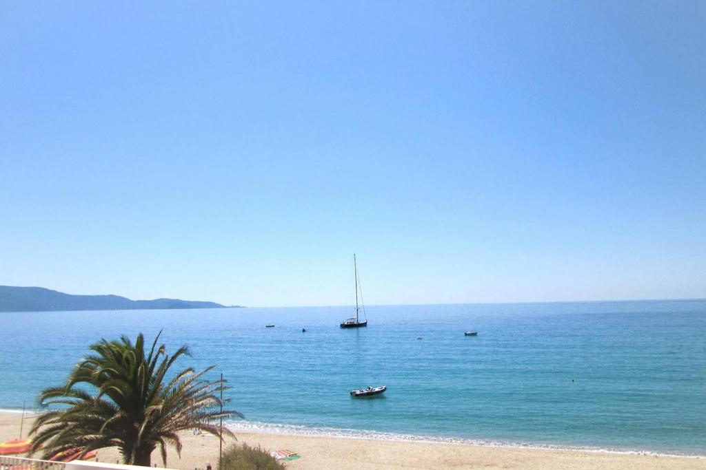 una playa con una palmera y un barco en el agua en Merveilleux, sur la plage et accès direct à la mer, en Olmeto