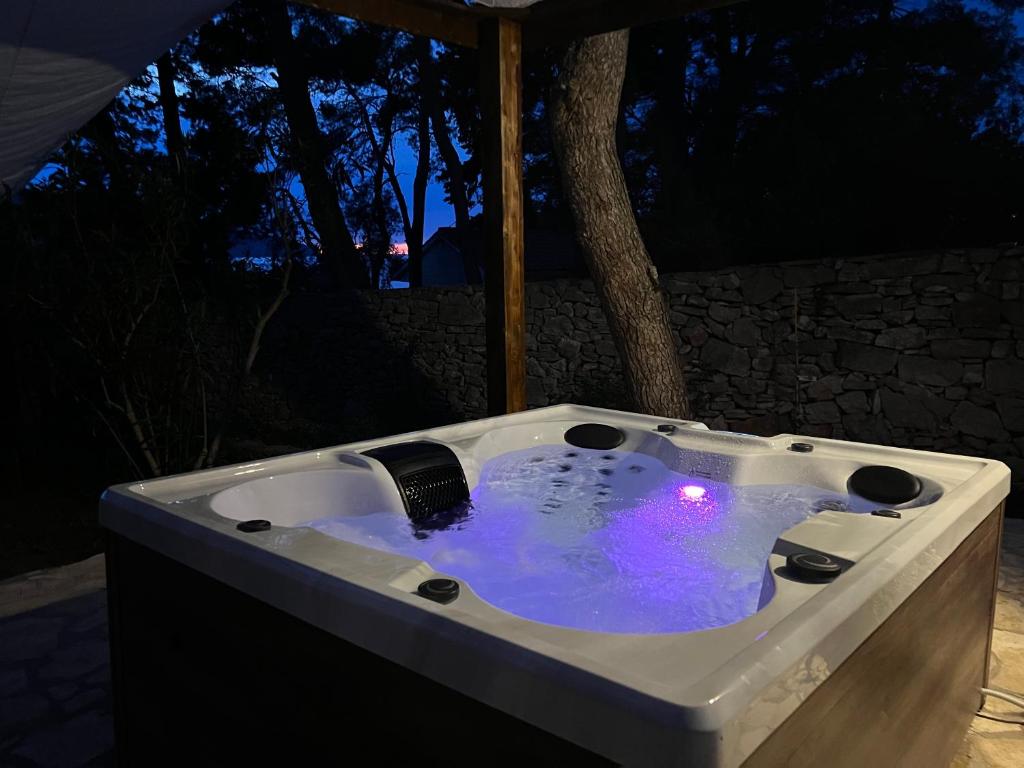 Fotografie z fotogalerie ubytování Villa Pinus v destinaci Stari Grad