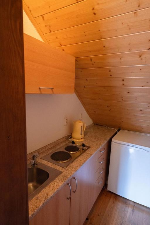 Kuchyň nebo kuchyňský kout v ubytování Mlýn Kamenice