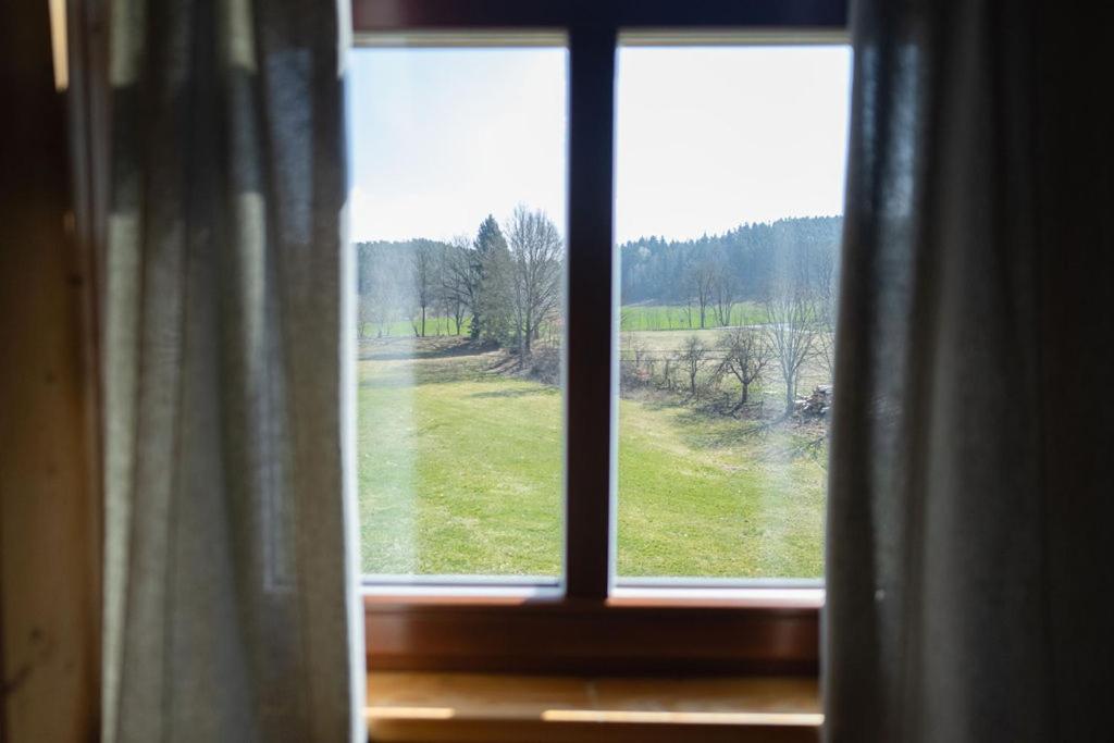 Příroda nedaleko penzionu
