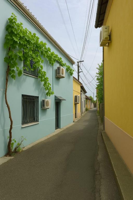 a narrow alley with a white building and a tree at Shkodra Stay in Shkodër