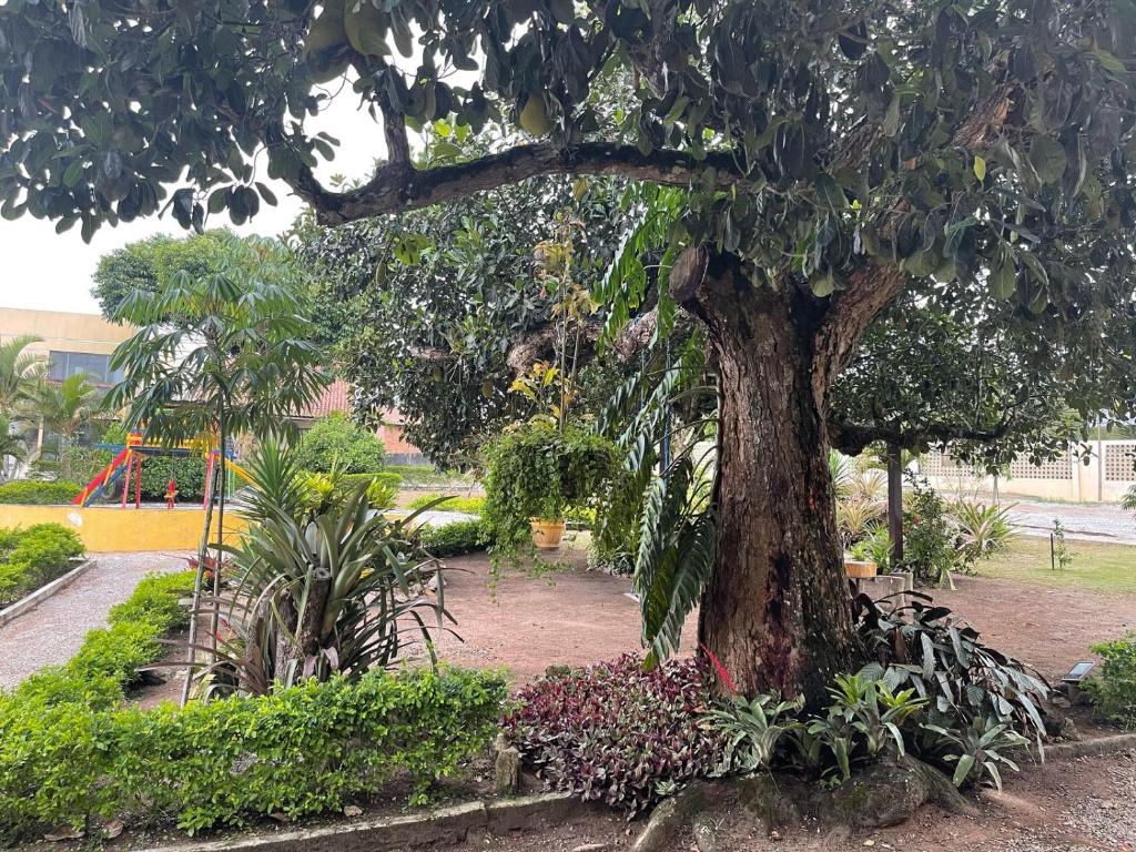 En have udenfor flat 017 Condominio Paraiso da Serra Negra - PE proximo Bodega de Veio