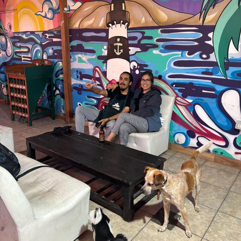 Majutusasutuse PARTY HOSTEL THAY Miraflores Lima külastajatega peatuv lemmikloom või lemmikloomad