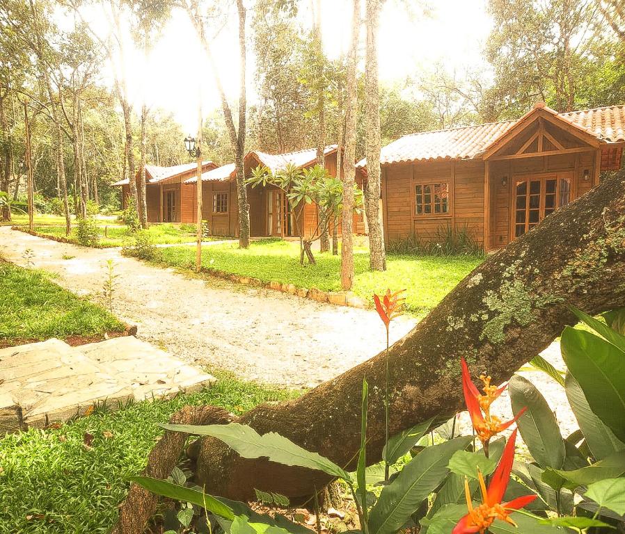 a tree laying on the ground in front of a house at Sítio Quinta da mata - Casa Amarela in Pirenópolis