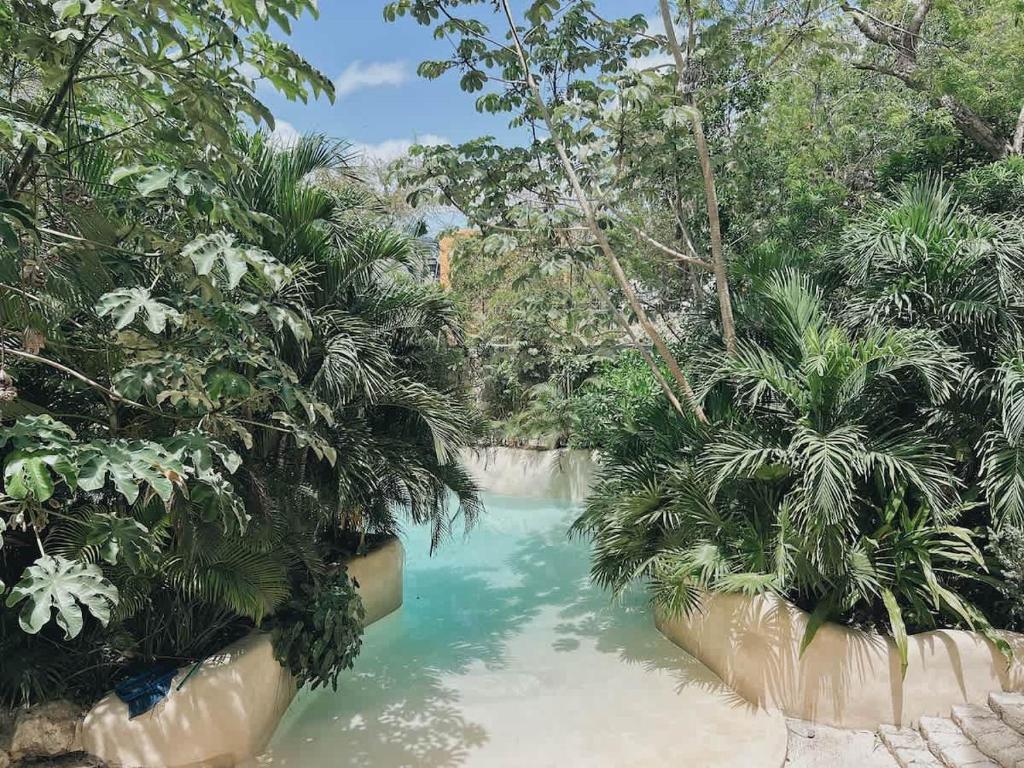 3 pools at main avenue, Tulum (preços atualizados para 2025)