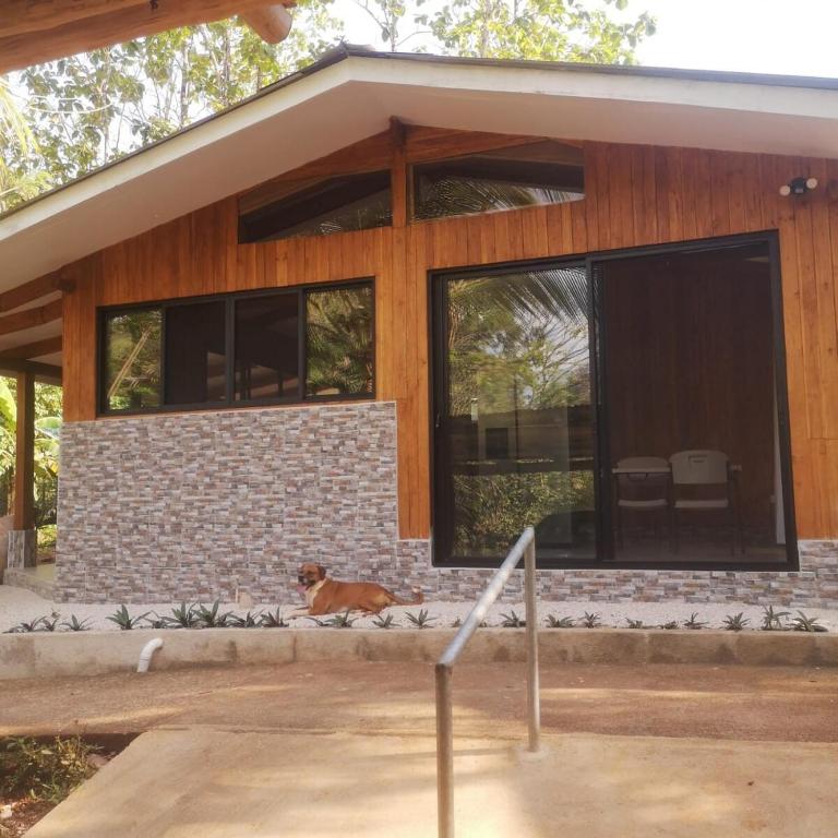 a dog sitting in front of a house at House in Playa Carrillo in Tapantí