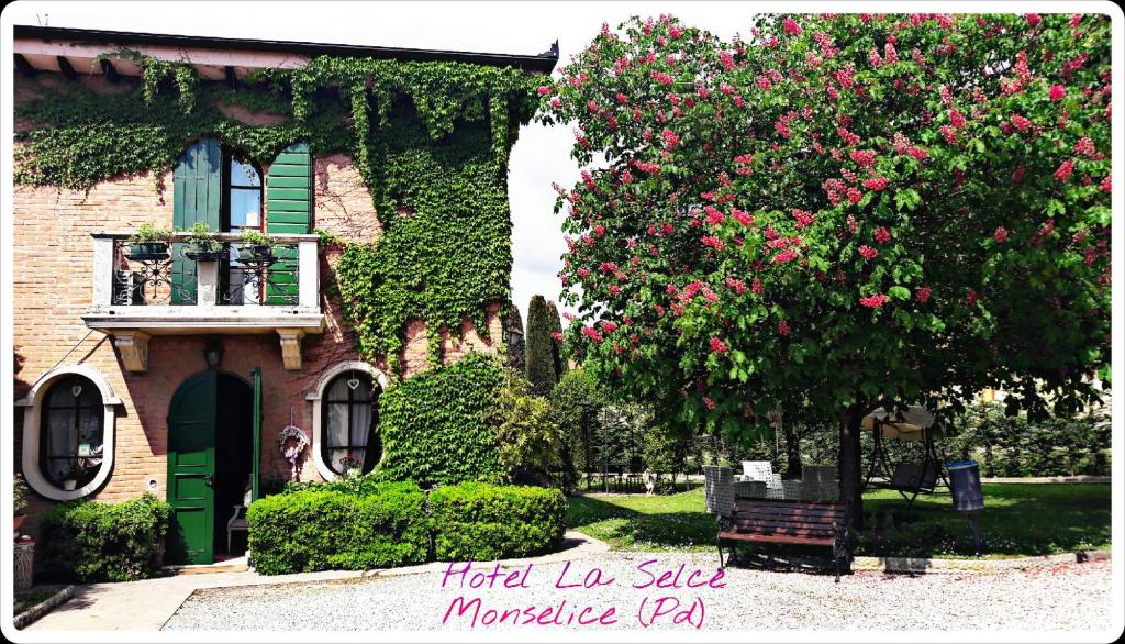 Zahrada ubytování Hotel La Selce