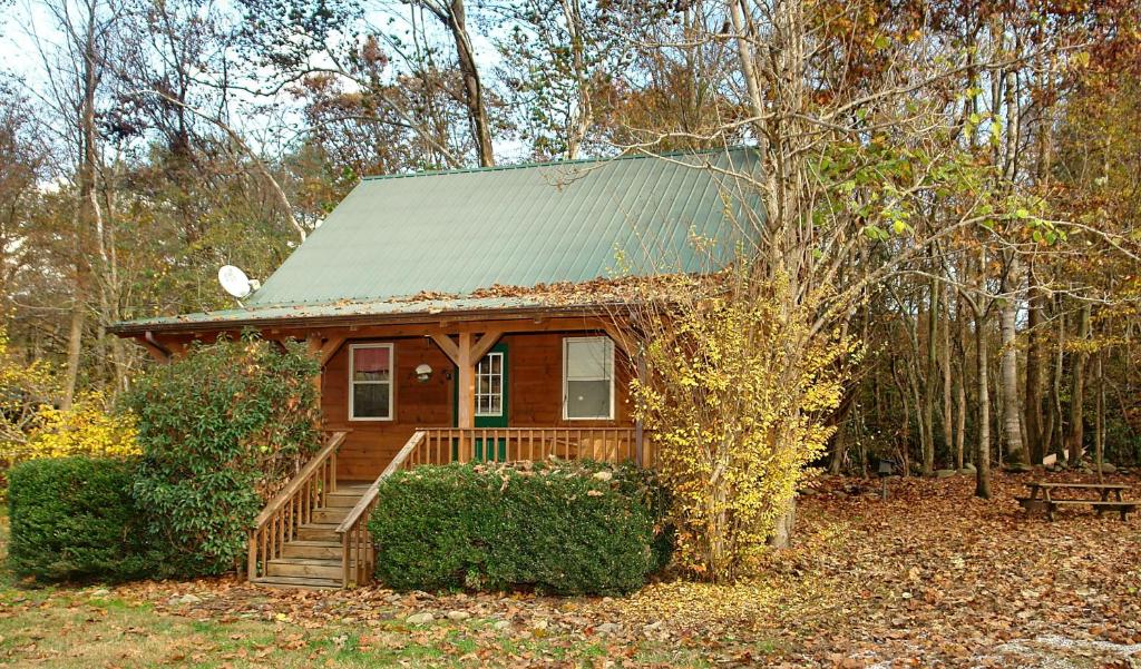 a small house with a green roof in the woods at Jon's Pond on Cosby Creek in Cosby