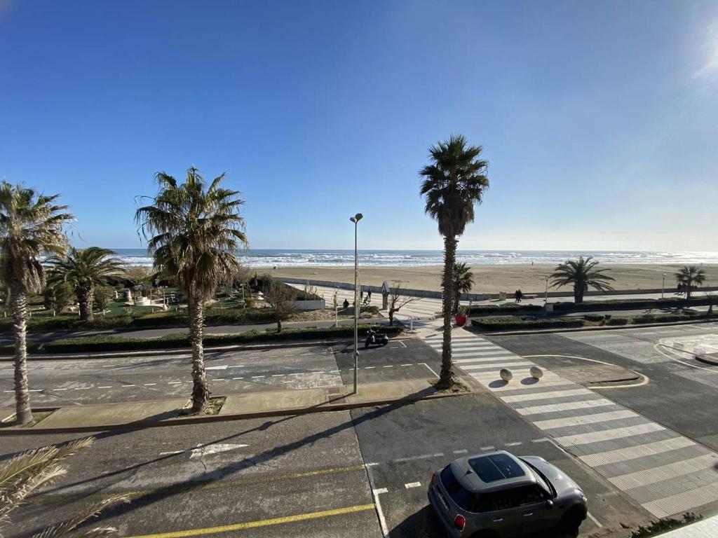 - un parking à côté d'une plage bordée de palmiers dans l'établissement Trois-pièces face mer avec parking, 6 pers - FR-1-750-75, à Canet