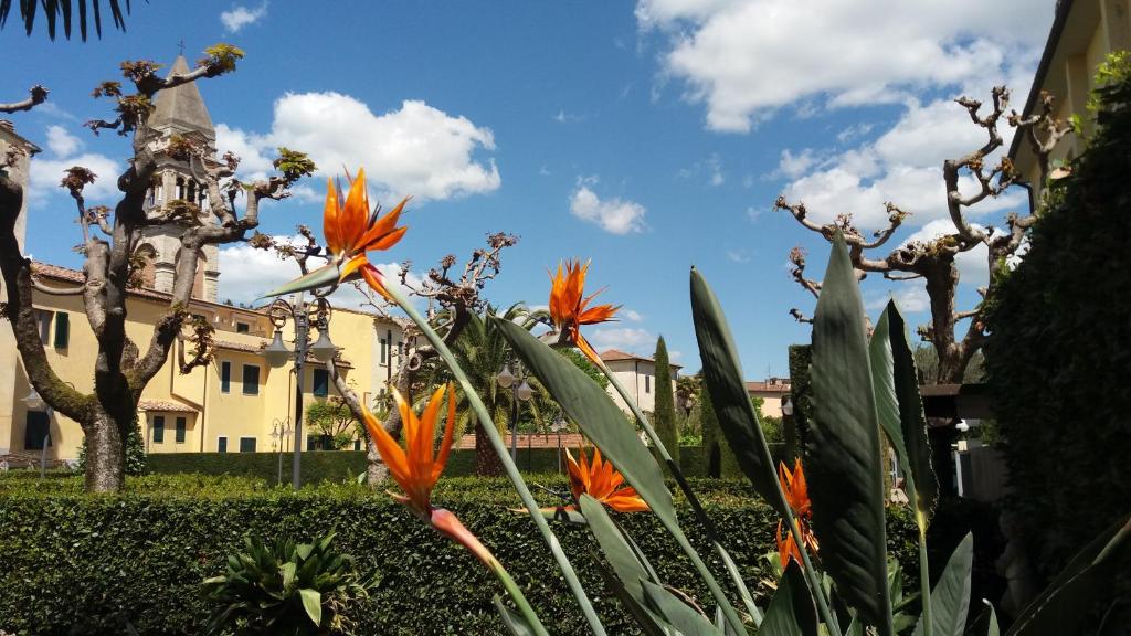 Ogród w obiekcie Albergo Roma