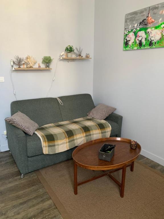 un salon avec un canapé et une table dans l'établissement Charmant petit studio, à Rochefort