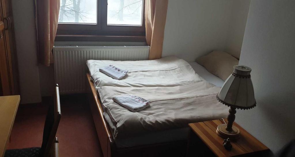 Postel nebo postele na pokoji v ubytování Pension Bohemia Horní Blatná