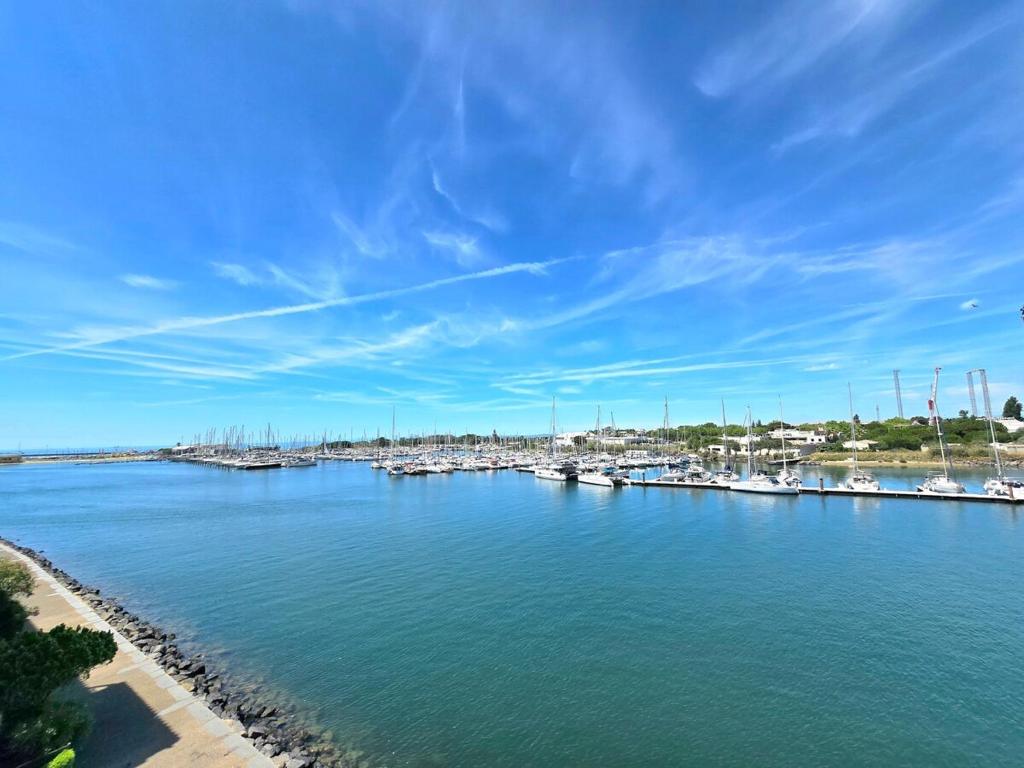 un port de plaisance avec des bateaux dans l'eau par beau temps dans l'établissement LA TORTUE : Terrasse avec vue sur le Port en Studio Cabine, au Cap d'Agde
