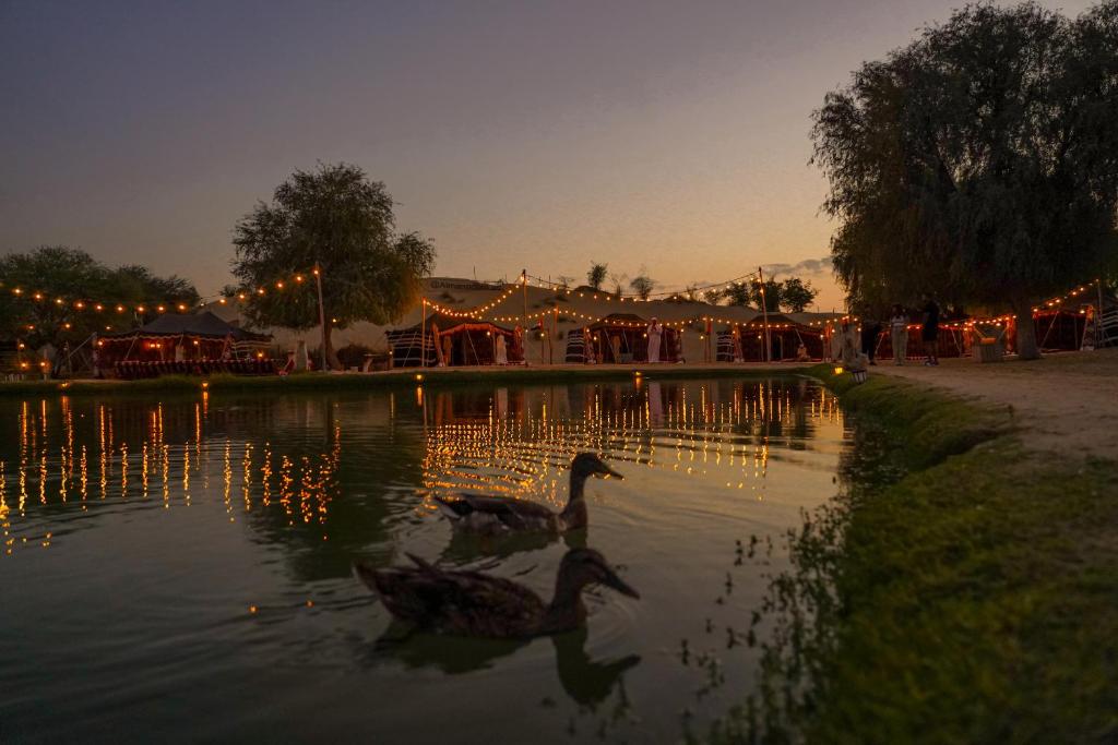 Výhled na řeku, která protéká v blízkosti luxury tent
