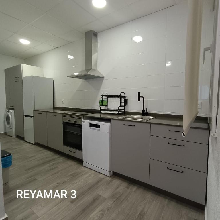 Kuchyň nebo kuchyňský kout v ubytování Apartamentos Reyamar