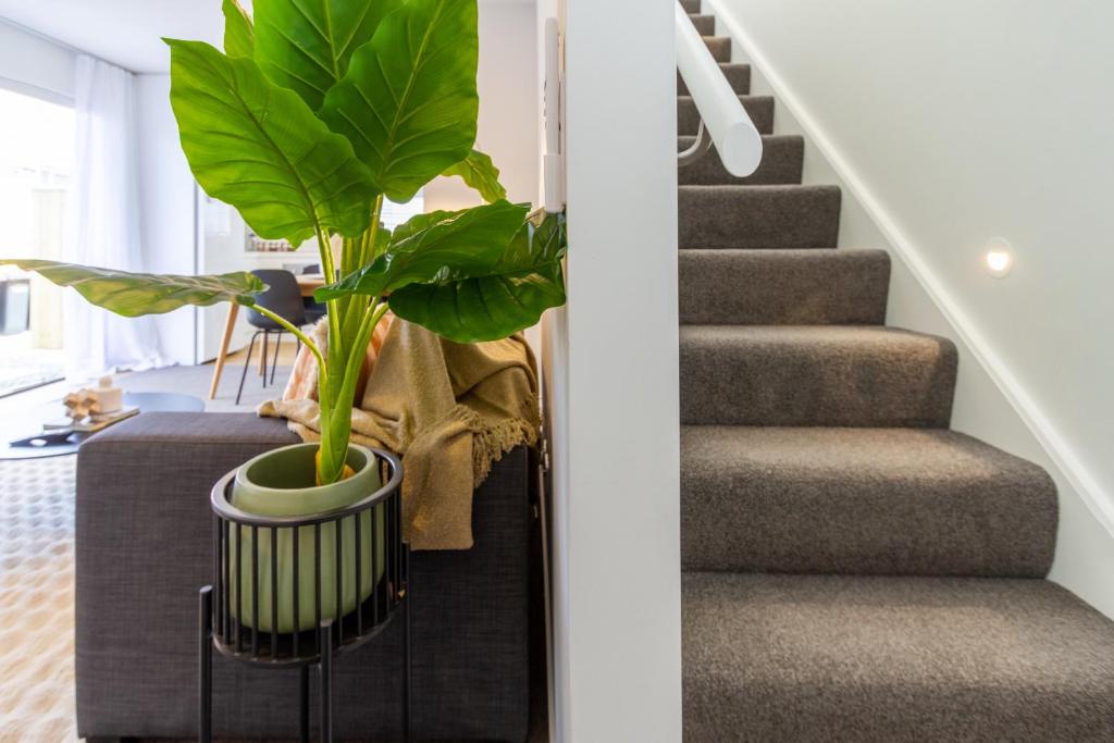 Warm and Comfy Home with Carpark near CBD - Resim 6