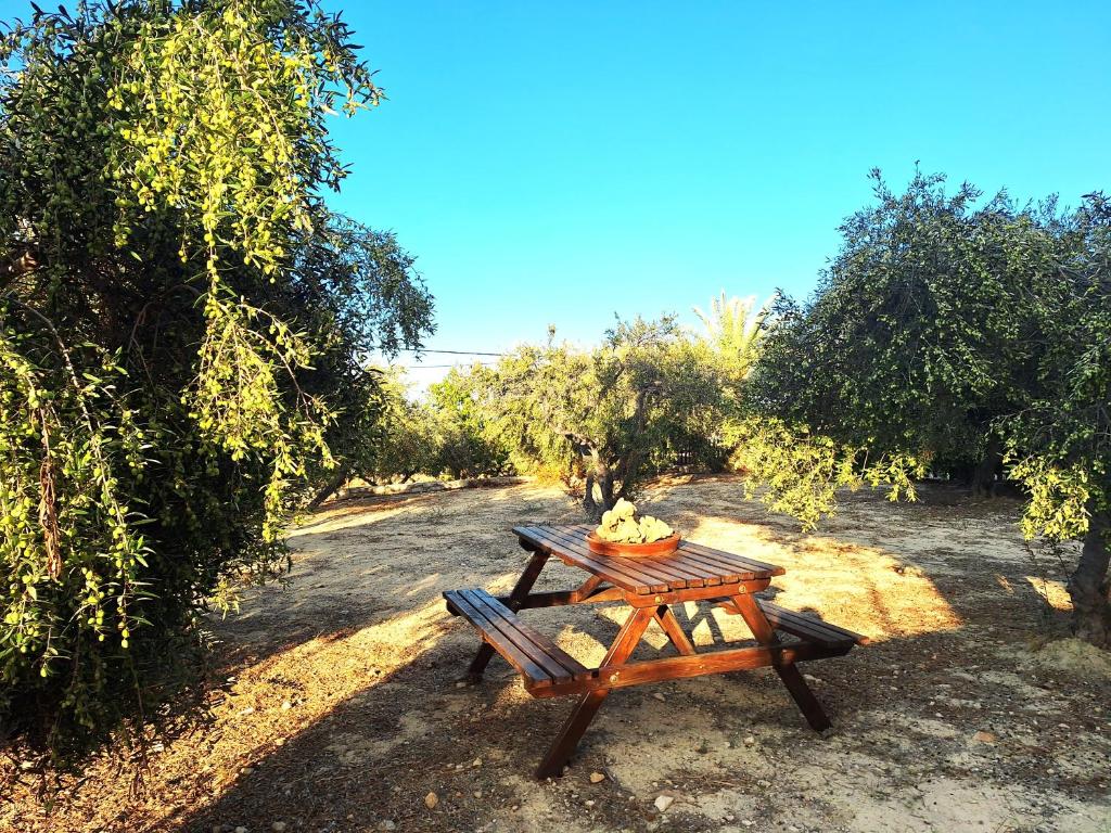 une table de pique-nique avec un bol de fruits dessus dans l'établissement Colored Dreams, à Bridgeport