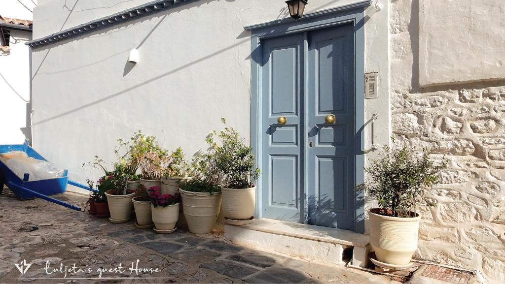 イドラにあるLuljeta's Guest Houseの鉢植え