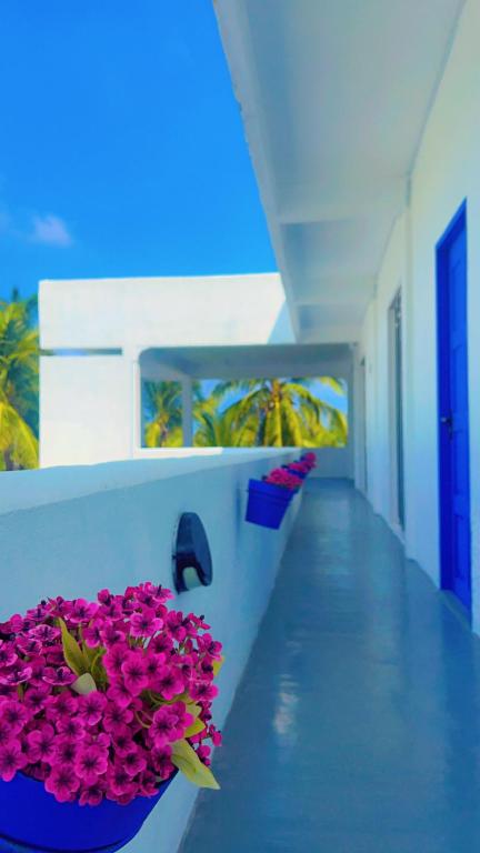 Fotografie z fotogalerie ubytování Santorini Maafushi Maldives v Maafushi