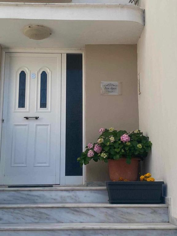 Exteriér nebo vchod ubytování Nan Apart 2, Salamina