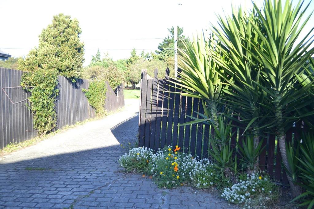 Privacy, comfort and a lot more - entire 2 bedroom house with free cycles - Resim 33